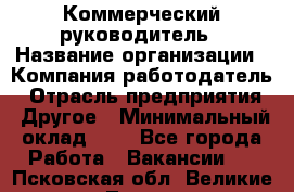 Коммерческий руководитель › Название организации ­ Компания-работодатель › Отрасль предприятия ­ Другое › Минимальный оклад ­ 1 - Все города Работа » Вакансии   . Псковская обл.,Великие Луки г.